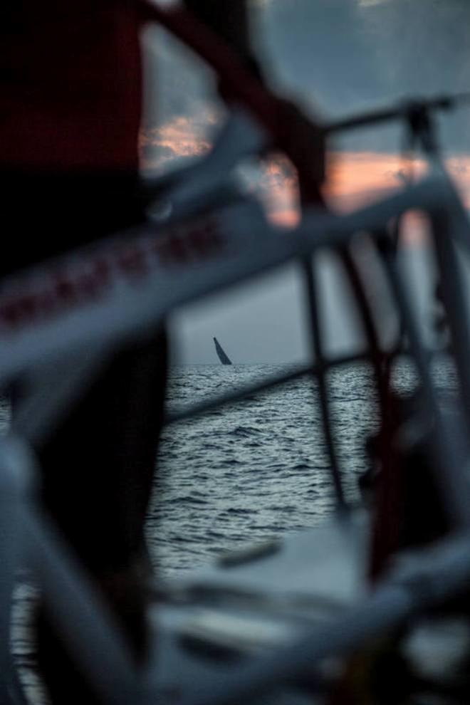 Onboard MAPFRE – Alvimedica on our stern with the sunset in the background - Leg six to Newport – Volvo Ocean Race 2015 © Francisco Vignale/Mapfre/Volvo Ocean Race